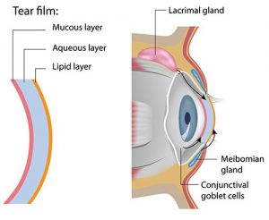 Dry Eyes Treatment · Top Eye Doctors, Optometrist ...